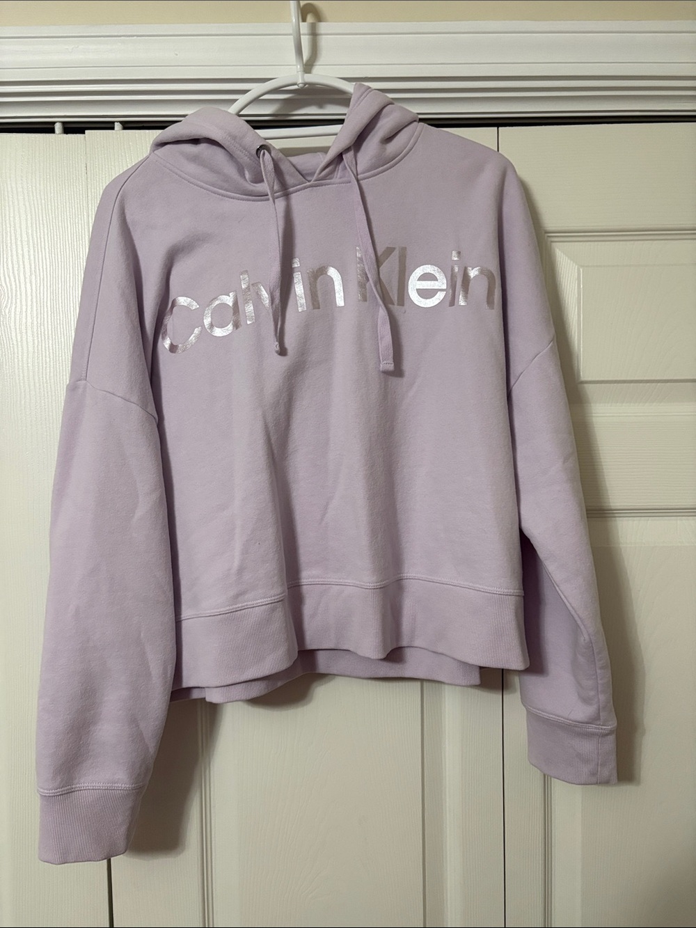 Calvin Klein Lilac Metallic Logo Hoodie - Women